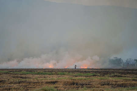 Smoke from burning. Farmers burn rice straw to prepare to plant rice for the next season. Toxic effect resulting from burning of rice straw.の写真素材