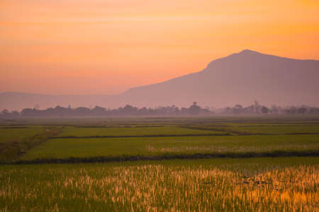 Golden morning sky in winter, misty high mountain background. Silhouette hills and misty in the morning at Chaiyaphum,Thailand.の写真素材