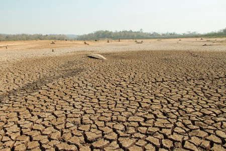The drought land texture in Thailand. The global shortage of water on the planet. Global warming and greenhouse effect concept.の写真素材