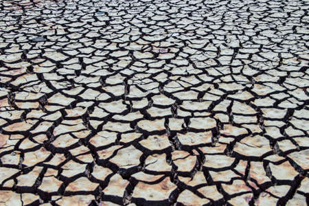 The drought land texture in Thailand. The global shortage of water on the planet. Global warming and greenhouse effect concept.の写真素材