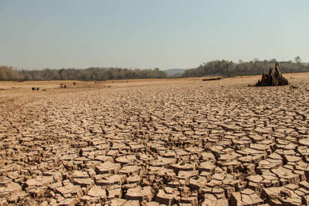 The drought land texture in Thailand. The global shortage of water on the planet. Global warming and greenhouse effect concept.の写真素材