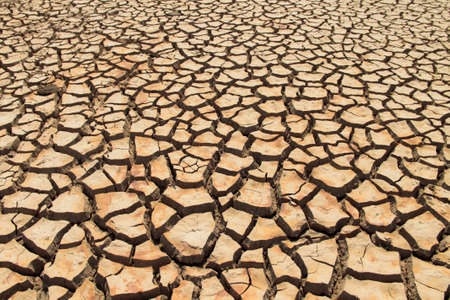 The drought land texture in Thailand. The global shortage of water on the planet. Global warming and greenhouse effect concept.の写真素材
