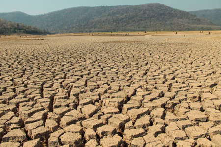 The drought land texture in Thailand. The global shortage of water on the planet. Global warming and greenhouse effect concept.の写真素材