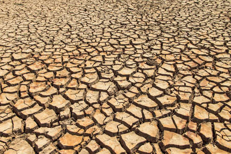 The drought land texture in Thailand. The global shortage of water on the planet. Global warming and greenhouse effect concept.の写真素材