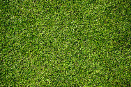 Golf club and ball in green grass. Golf balls on the golf course with golf clubs ready for golf in the first short. In the morning, with the beautiful sunlight.の写真素材
