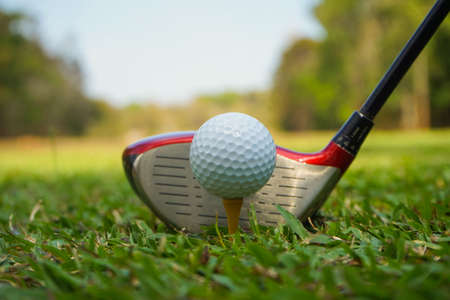 Golf club and ball on green grass ready to be struck on golf course background, Lens flare on sun set evening time. Golf ball on tee in front of driver on a golf course.の写真素材
