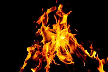 Fire flames on black background. The fire in the natural forest, flames and sparks on a dark background Fuel / lights on a black background.の写真素材