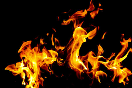 Fire flames on black background. The fire in the natural forest, flames and sparks on a dark background Fuel / lights on a black background.の写真素材