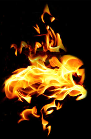 Fire flames on black background. The fire in the natural forest, flames and sparks on a dark background Fuel / lights on a black background.の写真素材