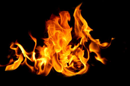 Fire flames on black background. The fire in the natural forest, flames and sparks on a dark background Fuel / lights on a black background.の写真素材
