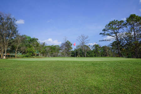Closeup old golf bags on green. Set of golf clubs over green field background.の写真素材