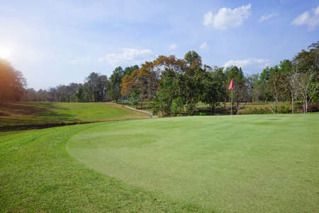 Background of evening golf course has sunlight shining down at golf course in Thailand. Nice scenery on a golf course at a late summer afternoon.の写真素材