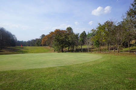 Background of evening golf course has sunlight shining down at golf course in Thailand. Nice scenery on a golf course at a late summer afternoon.の写真素材
