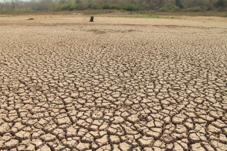 The drought land texture in Thailand. The global shortage of water on the planet. Global warming and greenhouse effect concept.の写真素材