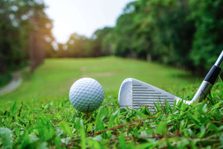 Golf ball on green grass ready to be struck on golf course background. Golf clubs and golf balls on a green lawn in a beautiful golf course with morning sunshine. Ready for golf in the first short.の写真素材