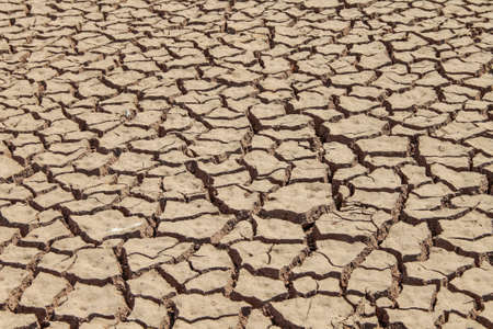 The drought land texture in Thailand. Dry cracked soil dirt or earth during drought at sunset. The global shortage of water on the planet. Global warming and greenhouse effect concept.の写真素材