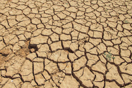 The drought land texture in Thailand. Dry cracked soil dirt or earth during drought at sunset. The global shortage of water on the planet. Global warming and greenhouse effect concept.の写真素材