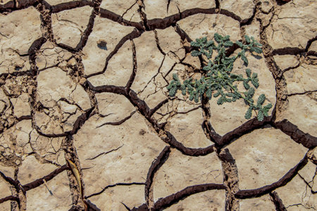 The drought land texture in Thailand. Dry cracked soil dirt or earth during drought at sunset. The global shortage of water on the planet. Global warming and greenhouse effect concept.の写真素材