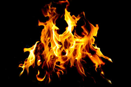 Fire flames on black background. The fire in the natural forest, flames and sparks on a dark...