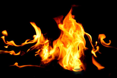 Fire flames on black background. The fire in the natural forest, flames and sparks on a dark background Fuel , lights on a black background.の写真素材