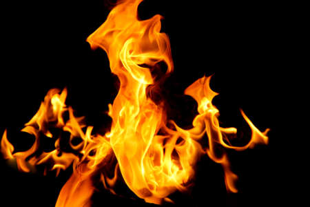 Fire flames on black background. The fire in the natural forest, flames and sparks on a dark background Fuel , lights on a black background.の写真素材