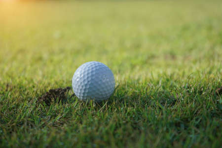 Golf ball on the green with warm tone and sunset. Golf ball on Green field golf course in morning time with soft sunlight.の写真素材