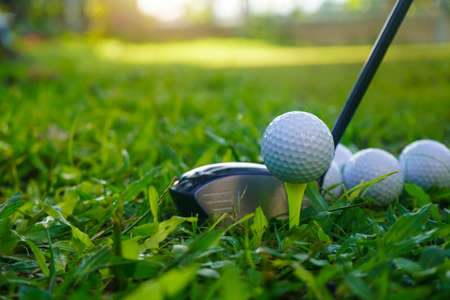 Golf balls on the golf course with golf clubs ready for golf in the first short. In the morning, with the beautiful sunlight.の写真素材