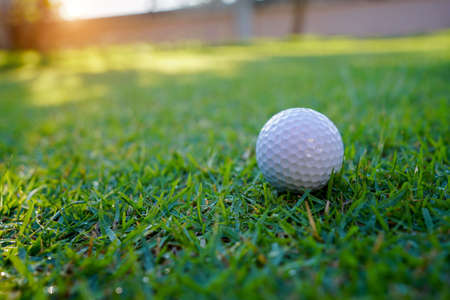 Golf ball on the green with warm tone and sunset. Golf ball on Green field golf course in morning time with soft sunlight.の写真素材