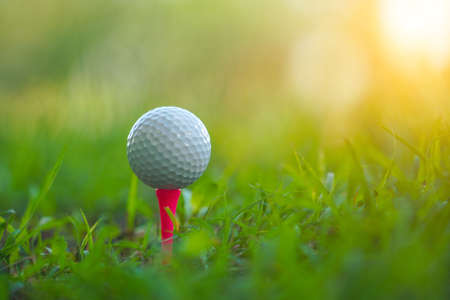 Golf ball on tee ready to be shot,The golf player On the green lawn background. golf ball on tee in a beautiful golf course with morning sunshine.の写真素材