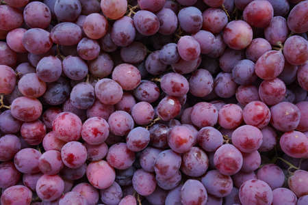 Close up of raw organic sweet red grapes background, wine grapes texture, Healthy fruits Red wine grapes background, top viewの写真素材