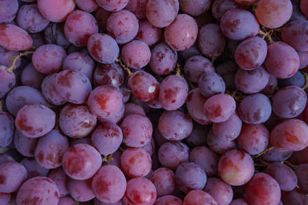 Close up of raw organic sweet red grapes background, wine grapes texture, Healthy fruits Red wine grapes background, top viewの写真素材