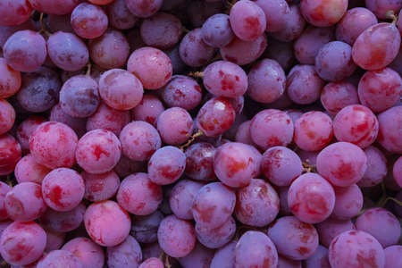 Close up of raw organic sweet red grapes background, wine grapes texture, Healthy fruits Red wine grapes background, top viewの写真素材