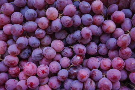 Close up of raw organic sweet red grapes background, wine grapes texture, Healthy fruits Red wine grapes background, top viewの写真素材