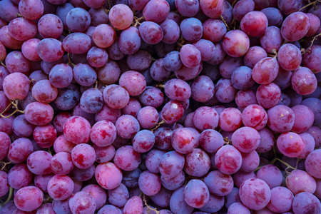 Close up of raw organic sweet red grapes background, wine grapes texture, Healthy fruits Red wine grapes background, top viewの写真素材