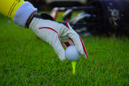 Hand holding golf ball with tee on course, tee off, copy space on Right side. Hand ware leather glove putting golf ball on tee off, black color backgroundの写真素材
