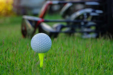 golf glove , white golf ball and tee put on green grass of golf course ,This golf objects for playの写真素材
