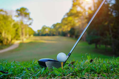 Hand holding golf ball with tee on course, tee off, copy space on Right side. Hand ware leather glove putting golf ball on tee off, black color backgroundの写真素材