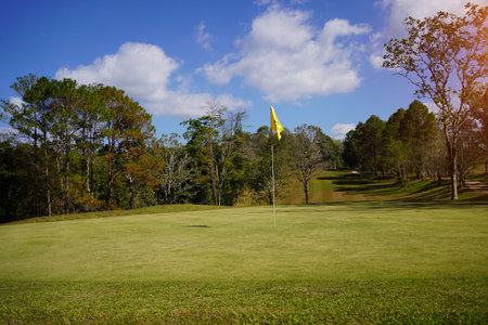 Green grass and woods on a golf field. Green grass and woods on a golf field. View of Golf Course with beautiful putting green. Golf course with a rich green turf beautiful scenery.の写真素材