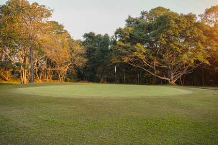 Green grass and woods on a golf field. Green grass and woods on a golf field. View of Golf Course with beautiful putting green. Golf course with a rich green turf beautiful scenery.の写真素材