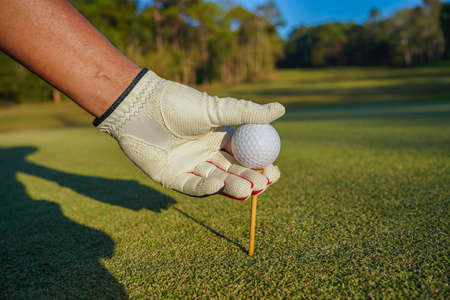 Golfer practice training putting golf ball on the green, lens flare on sun set evening time.の写真素材