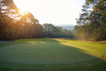 Golf clubs and ball on a green lawn in a beautiful golf course with morning sunshine. golf ball on green grass ready to hit on golf course background.の写真素材