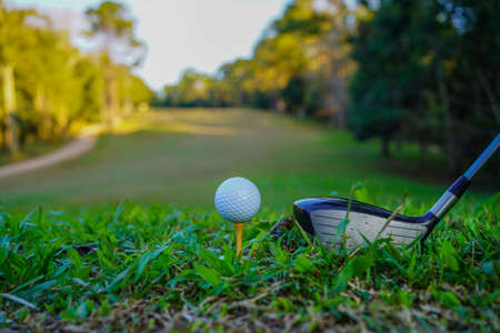 Hand hold golf ball with tee on course, golf course background. A golfer showing white golf ball in glove hand holding ,green grass nature blur background sunlight.の写真素材