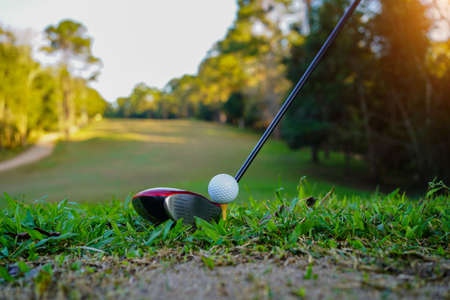 Hand hold golf ball with tee on course, golf course background. A golfer showing white golf ball in glove hand holding ,green grass nature blur background sunlight.の写真素材
