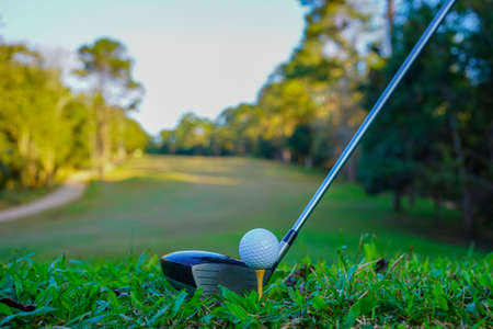 Golf clubs and ball on a green lawn in a beautiful golf course with morning sunshine. golf ball on green grass ready to hit on golf course background.の写真素材