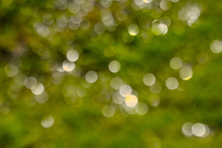 Golden bokhe background with copy space, Merry Christmas and Happy New Year, Holidays greeting with bokeh backgroundの写真素材