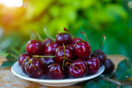 Berry Cherry on a wooden table rustic. Natural detox, fruit dessert, healthy dieting concept. Top view flat lay background. Banner.の写真素材