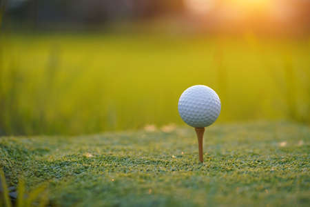 Golf ball is on tee at green lawn in a beautiful golf course with morning sunshine.Ready for golf in the first short.Sports that people around the world play during the holidays for health.の写真素材