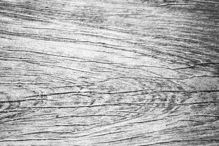 old white bright wooden texture, wood background panorama,gray. wood texture with natural feel design figure.の写真素材
