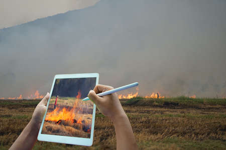 Environmental problems, drought, desertification, thirst, pollution by burning rice straw. Agriculture or cultivation conceptの写真素材