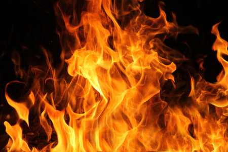 Fire flames on black background. The fire in the natural forest, flames and sparks on a dark background Fuel , lights on a black background.の写真素材